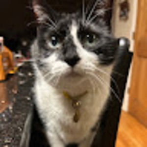 Meet your Posher, Kasey